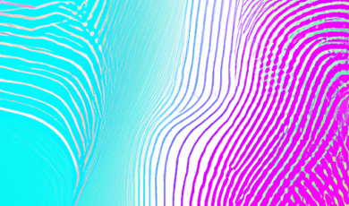 Wildlife Encounters: Paddleboarding Among Morro Bay’s Marine Life